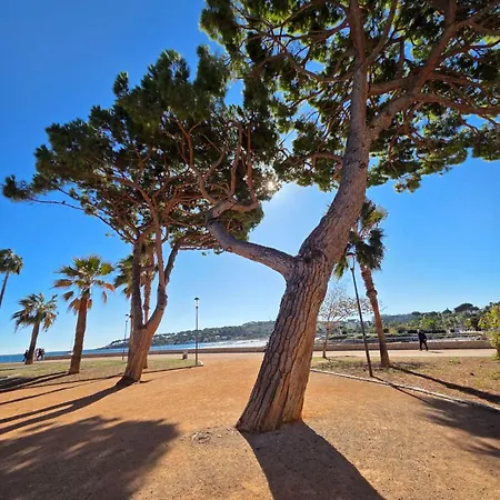 Apartamento Foch Riviera, D'exception Sur Antibes, T3 4 à 6 Personnes *